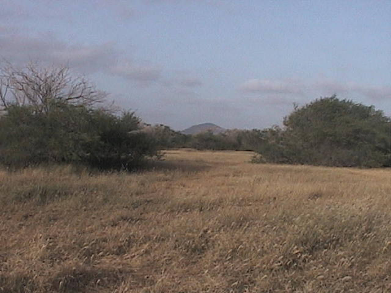 LARGE PLOT OF LAND ON THE ISLAND OF MAIO